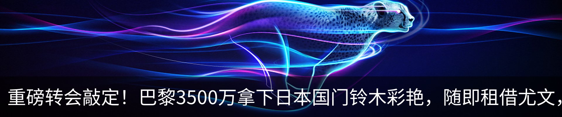 资讯动态