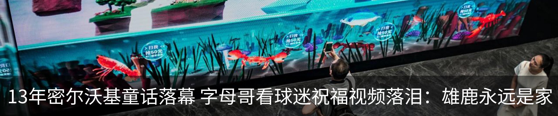 资讯动态